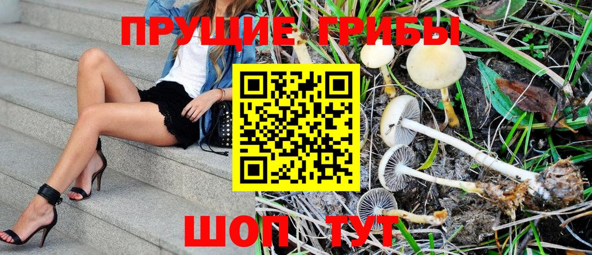 Псилоцибиновые грибы Magic Shrooms Менделеевск