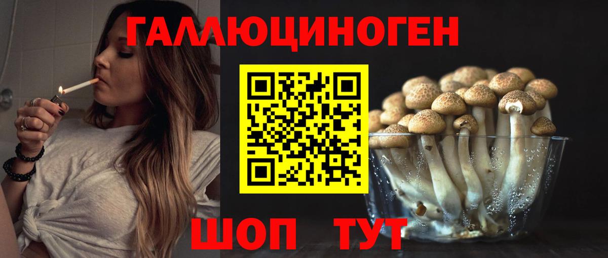 Менделеевск  Галлюциногенные грибы Cubensis  Вход с VPN  Псилоцибиновые грибы прущие грибы 